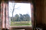 Ausblick des rustikalen Ferienhauses für den Familienurlaub in der Lüneburger Heide
