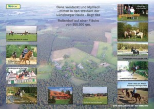 Reiterdorf Lüneburger Heide - Reiten Niedersachsen