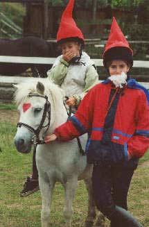 Ponymodenschau