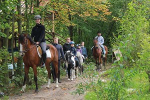 Reiterurlaub mit der ganzen Familie