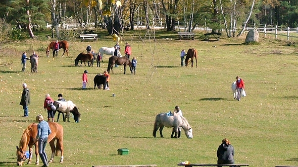 Schnupperwochenende im Ferienclub Lüneburger Heide