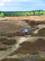Wandern Lüneburger Heide