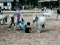 ponyspiele-sommerfest-003-300x207