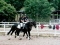 quadrille-sommerfest-001-001-300x204