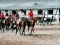 quadrille-sommerfest-006-300x204