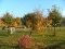 2004_1021herbst7Bild0070-300x224