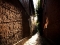 DSC_3451-300x199